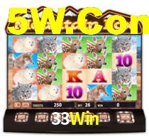 Premium Interface 33Win